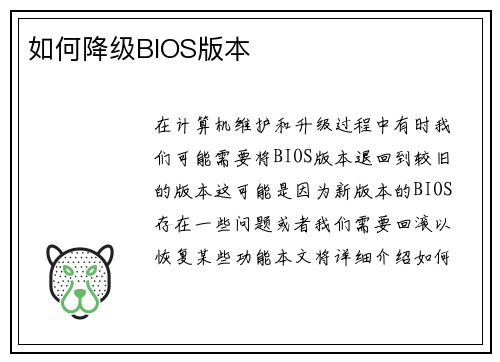 如何降级BIOS版本